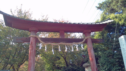 毎月7日恒例　鷲宮神社参拝　2010年11月